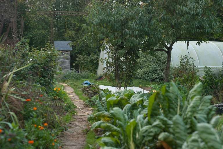 L'allée centrale du jardin